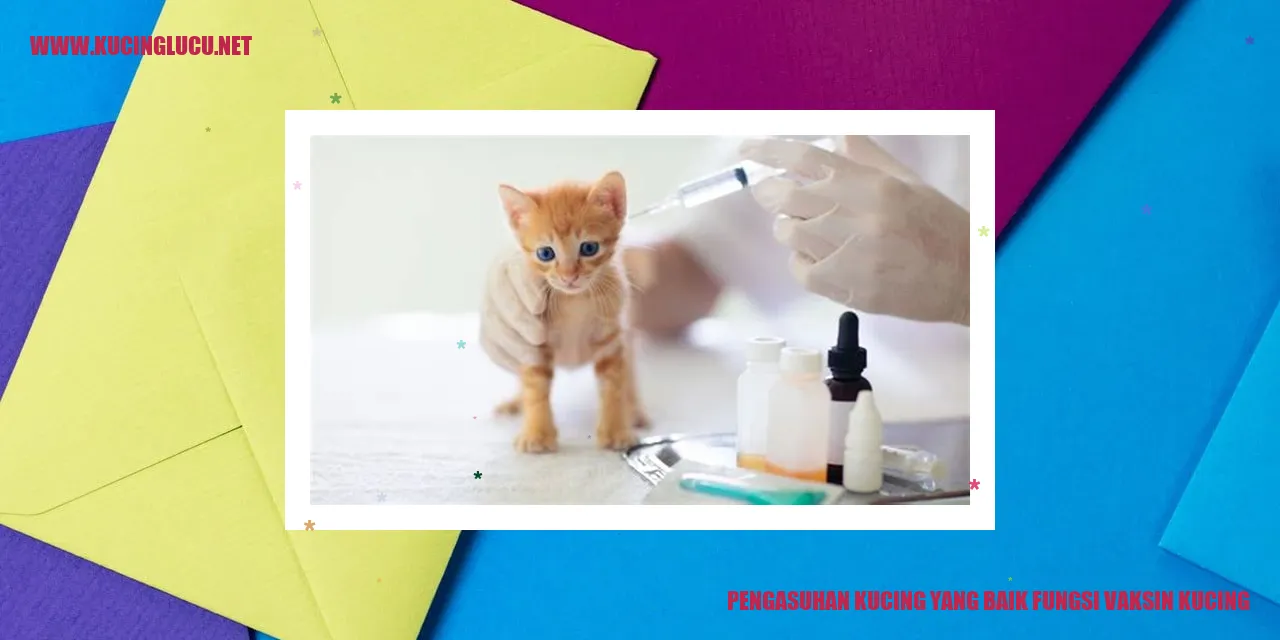 Gambar Kucing