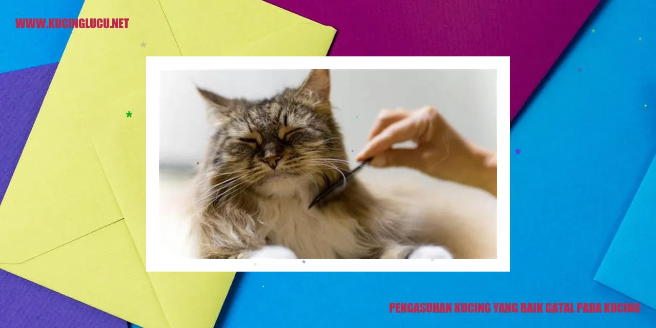 Pengasuhan Kucing yang Baik Gatal pada Kucing