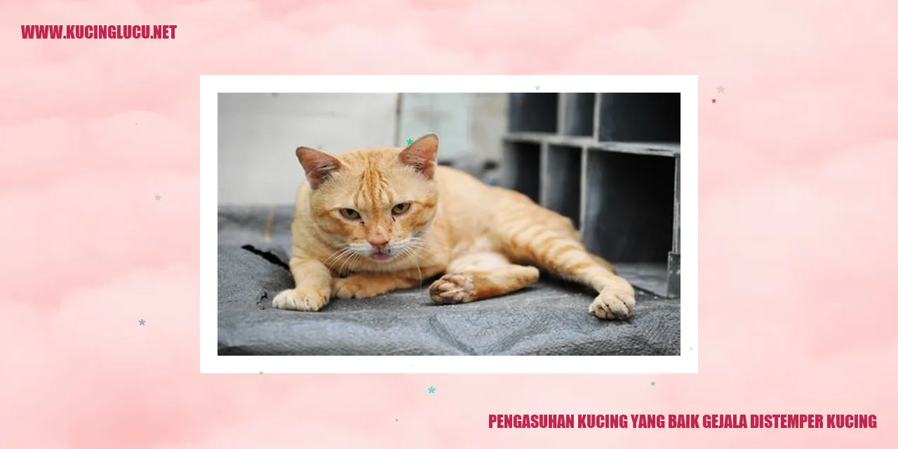Gambar Kucing yang Lucu