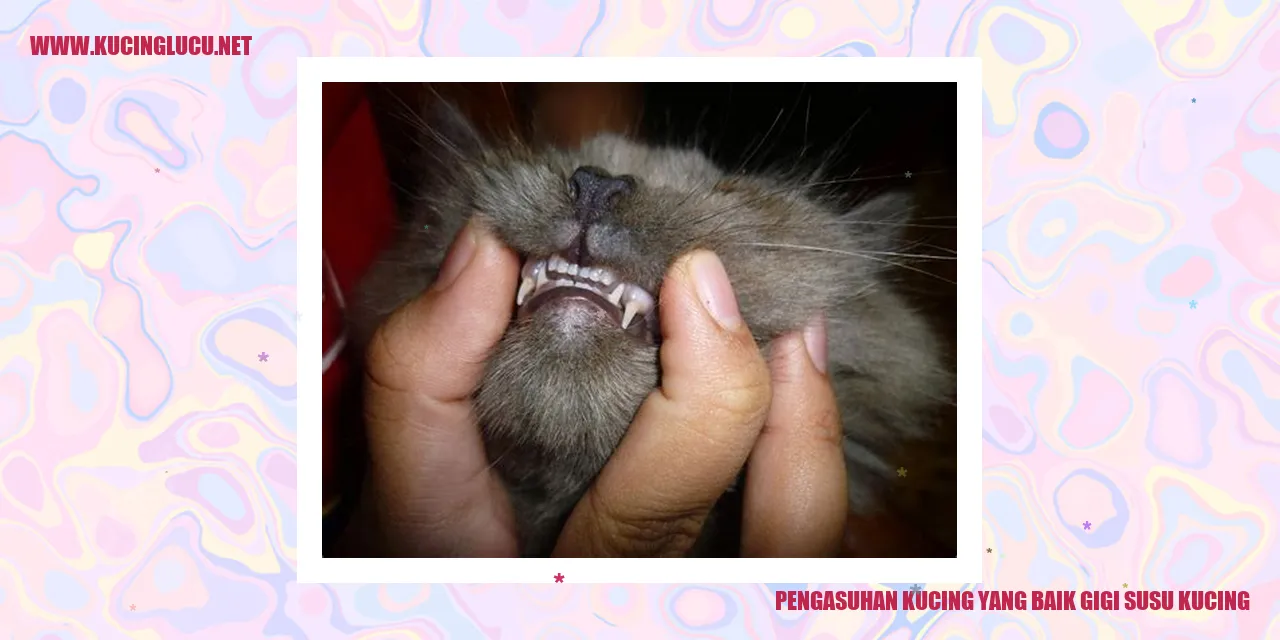 Pengasuhan kucing yang baik gigi susu kucing