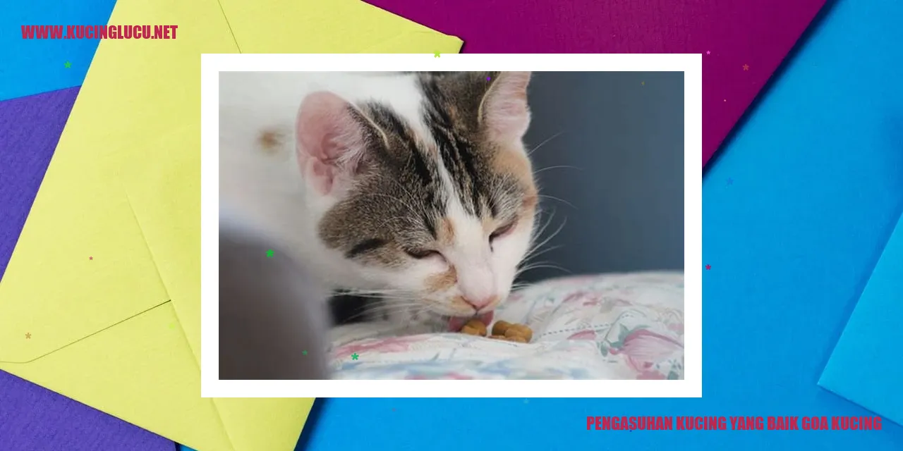 Foto Kucing Lucu