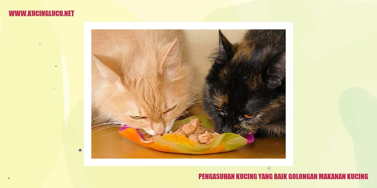 Gambar kucing makanan