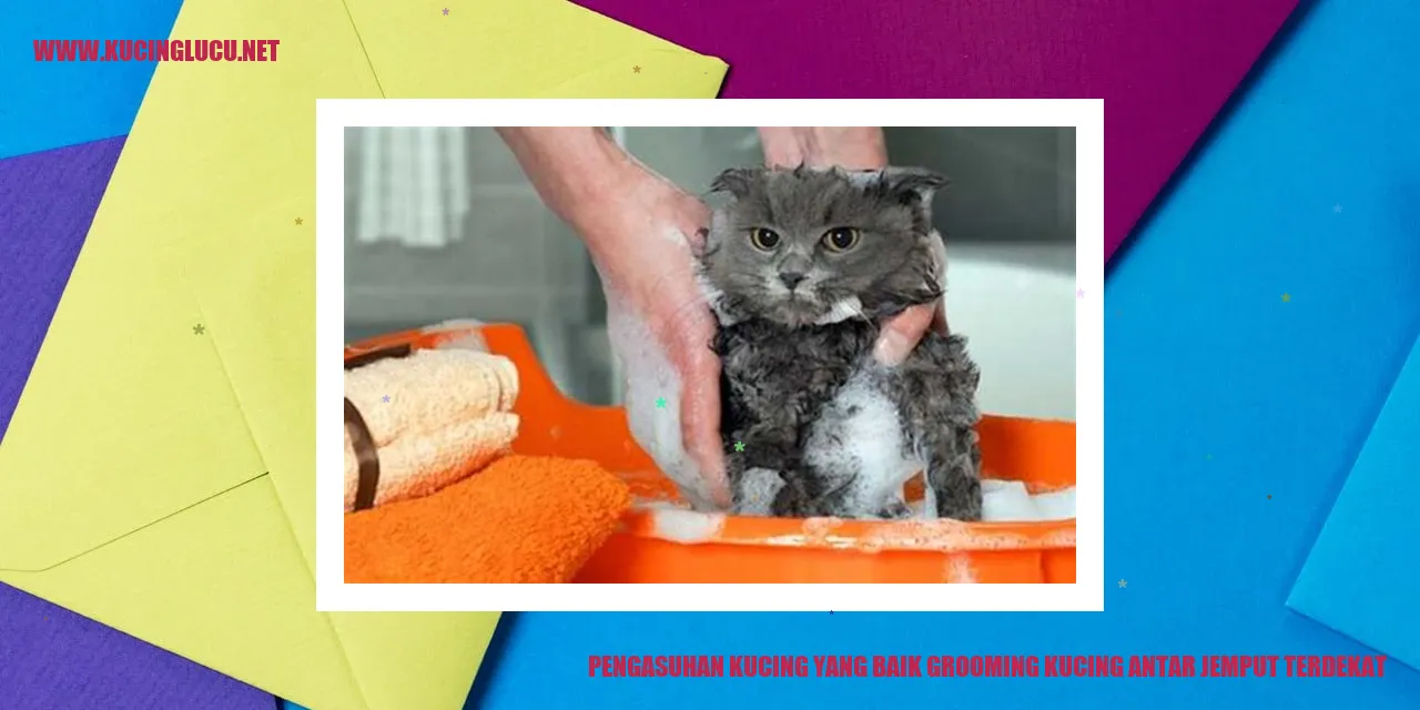 Grooming Kucing