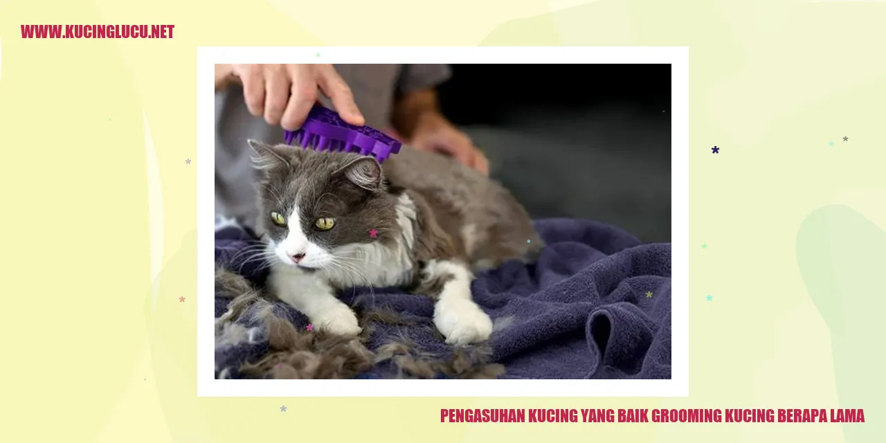 Kucing sedang dirawat