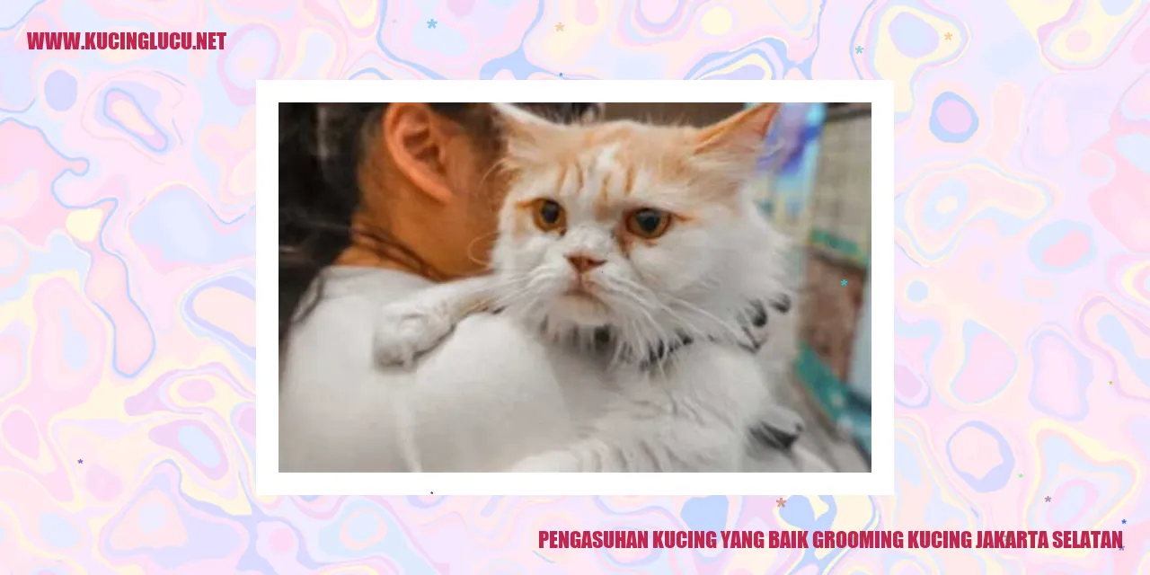 Pengasuhan Kucing yang Baik - Grooming Kucing di Jakarta Selatan