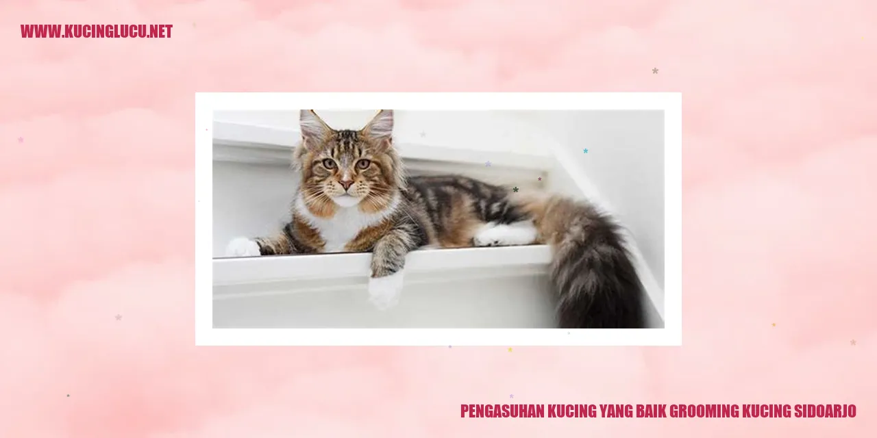Pengasuhan Kucing yang Baik