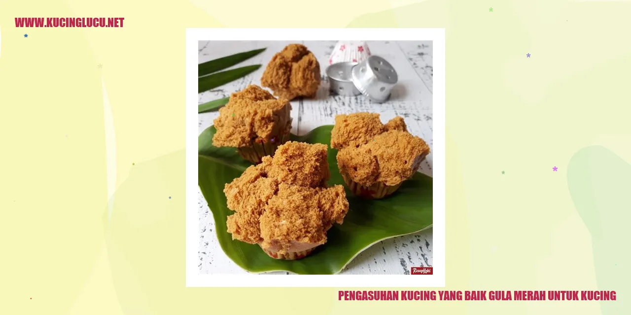 Pentingnya Pengasuhan yang Tepat untuk Kucing dengan Pemanis Alami