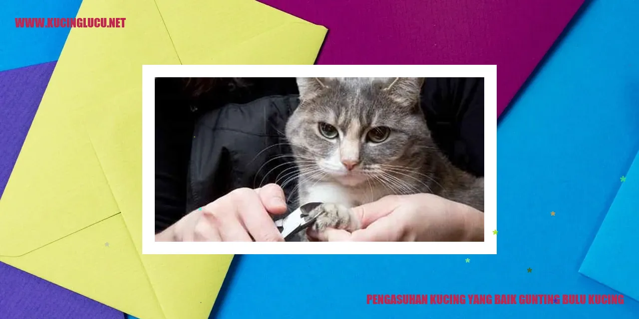 Kucing dengan bulu yang di-gunting