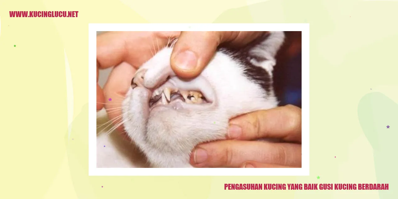 gambar kucing