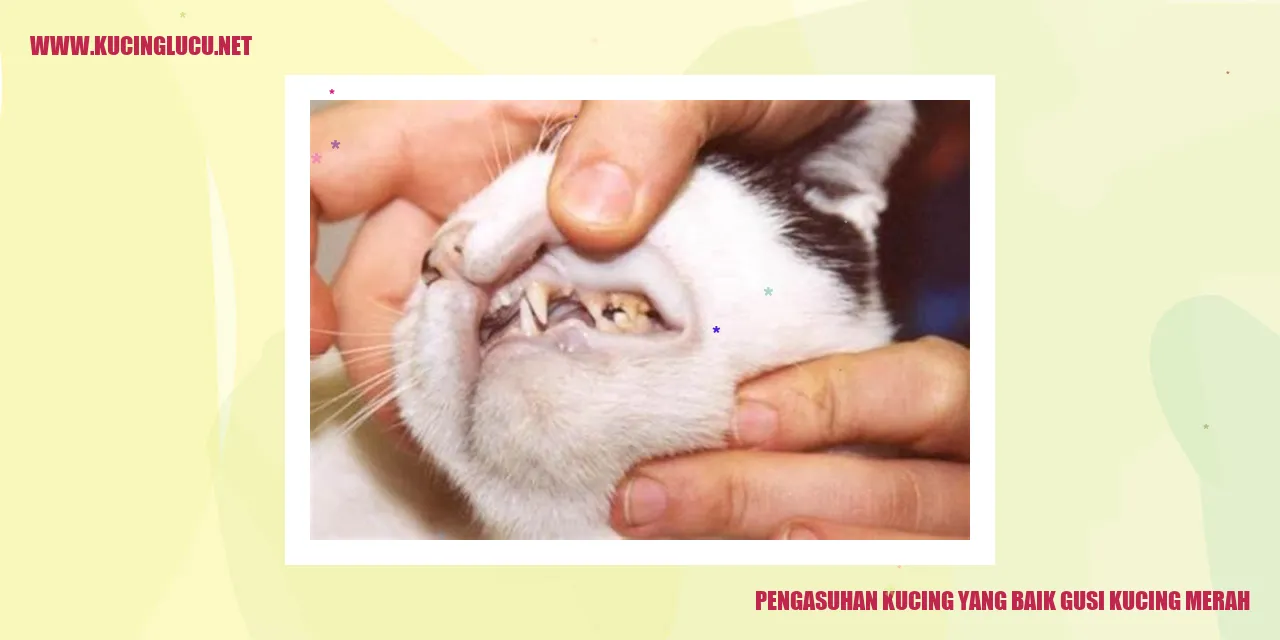 Kucing yang Sehat dan Bahagia