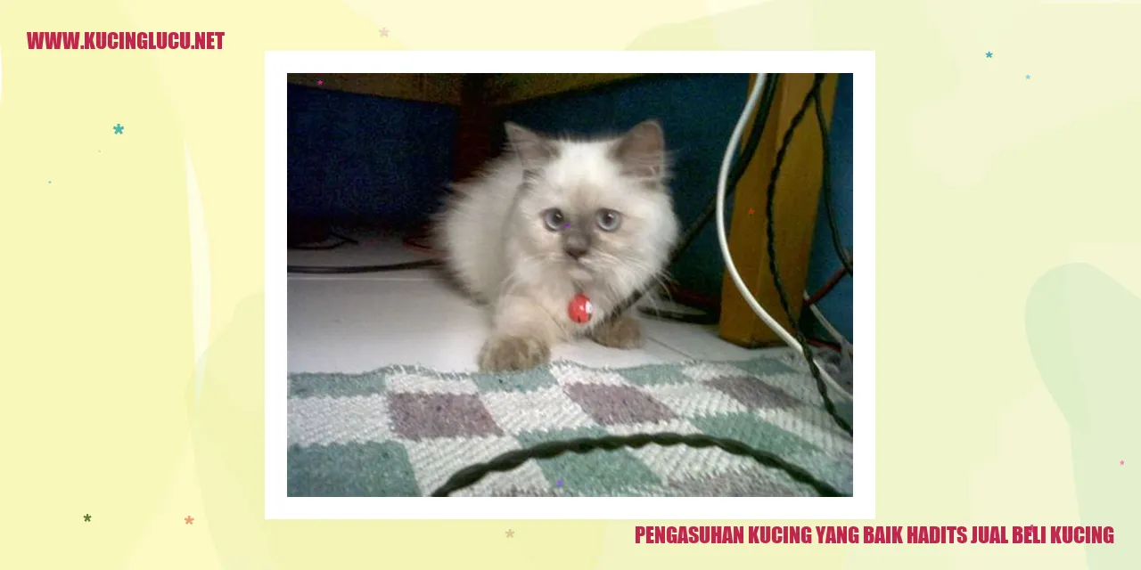 foto kucing menggemaskan