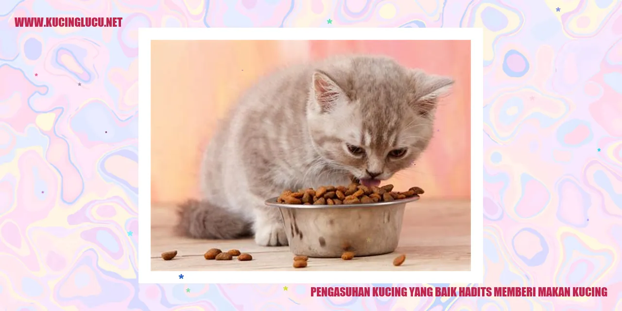 Gambar kucing makan