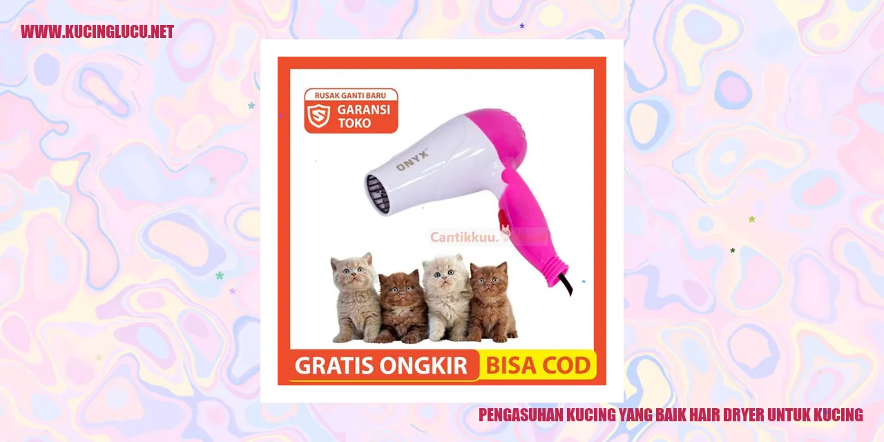 gambar kucing yang sehat