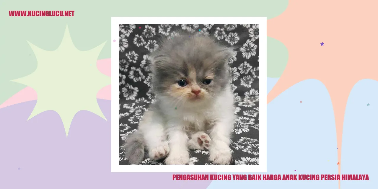 Pengasuhan Kucing yang Pantas