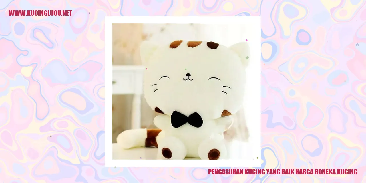 gambar kucing