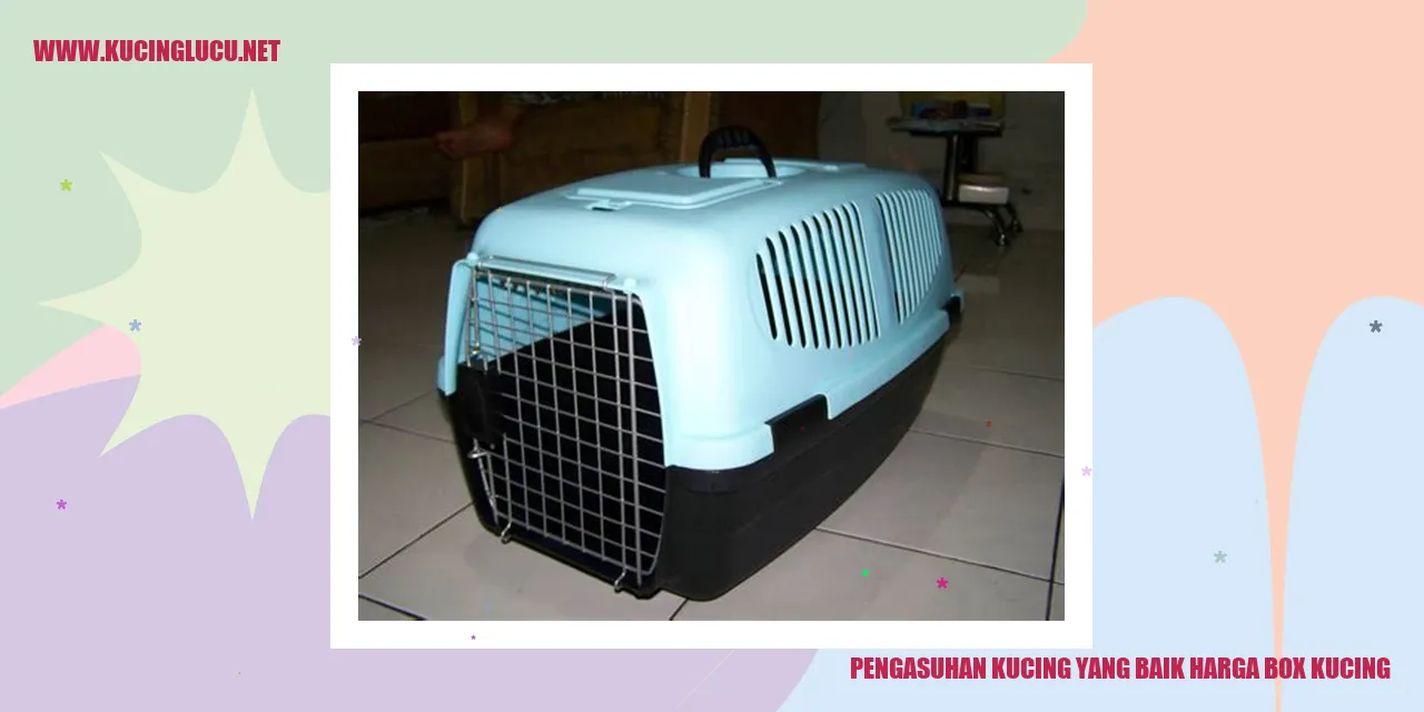Foto Kucing Lucu