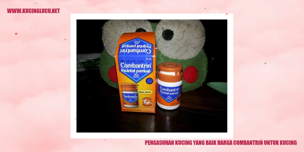 Gambar Kucing