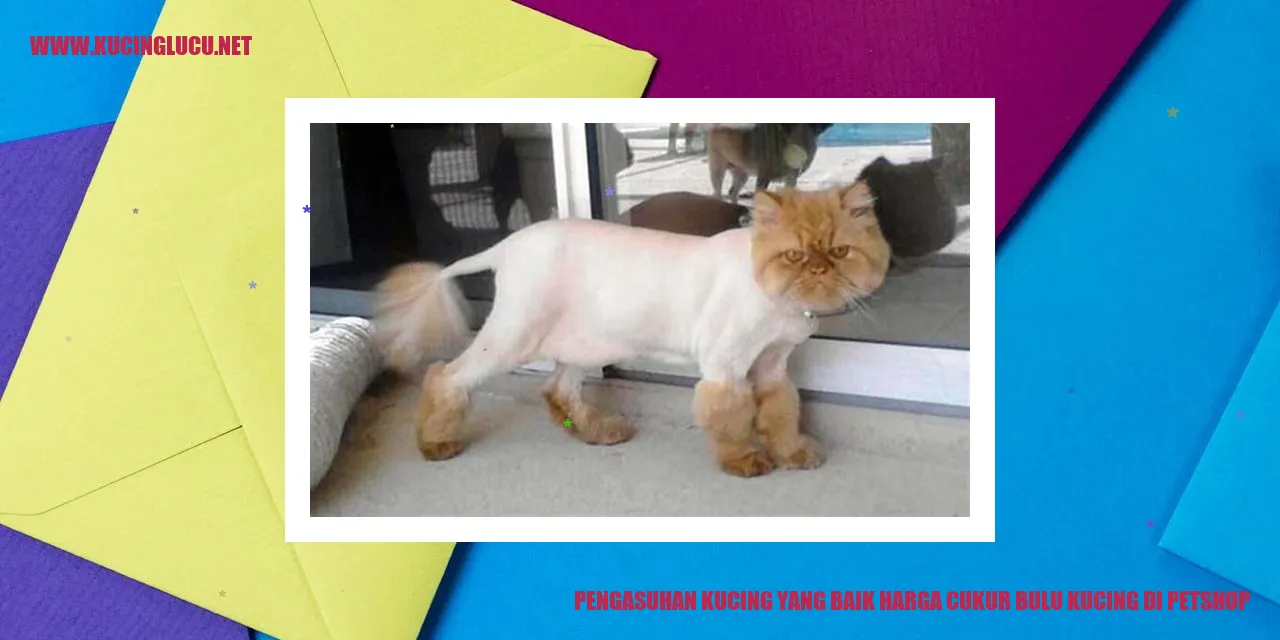 Gambar kucing