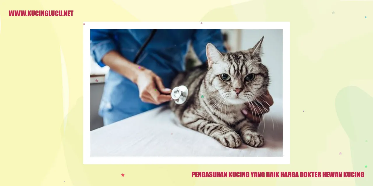 Ilustrasi Kucing