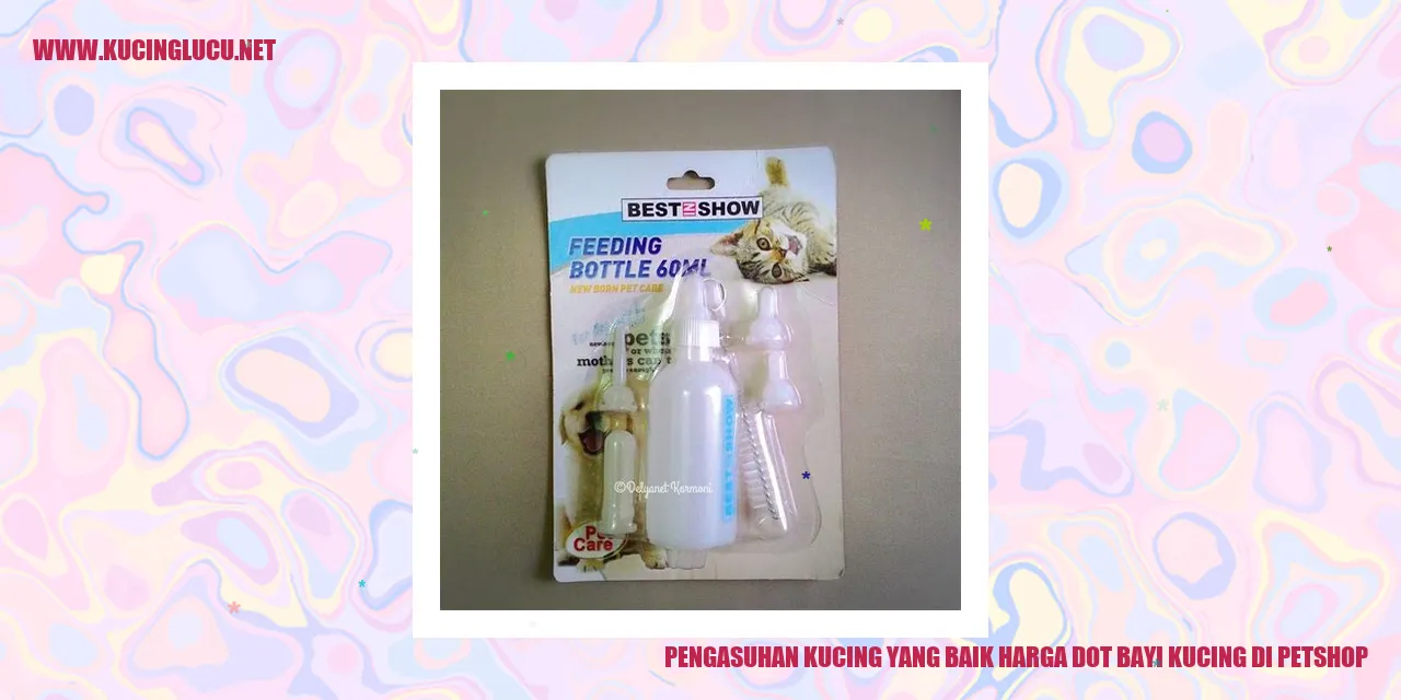 kucing