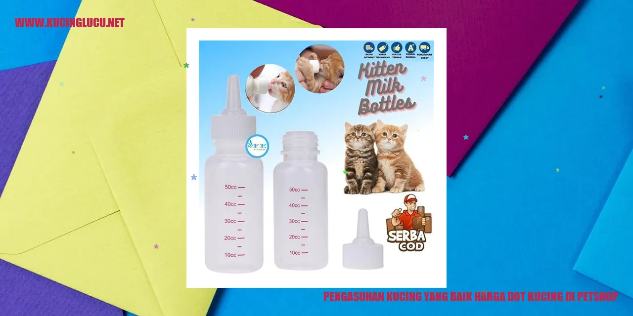 Gambar kucing yang sehat dan bahagia