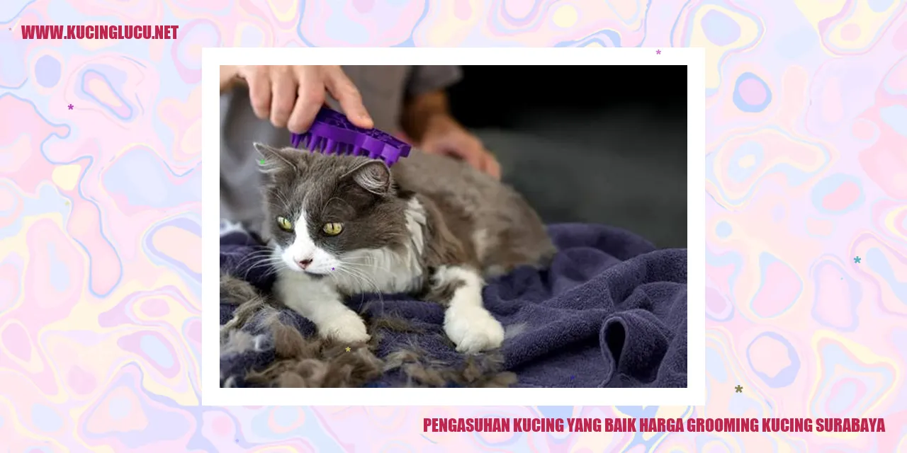 Kucing Lucu