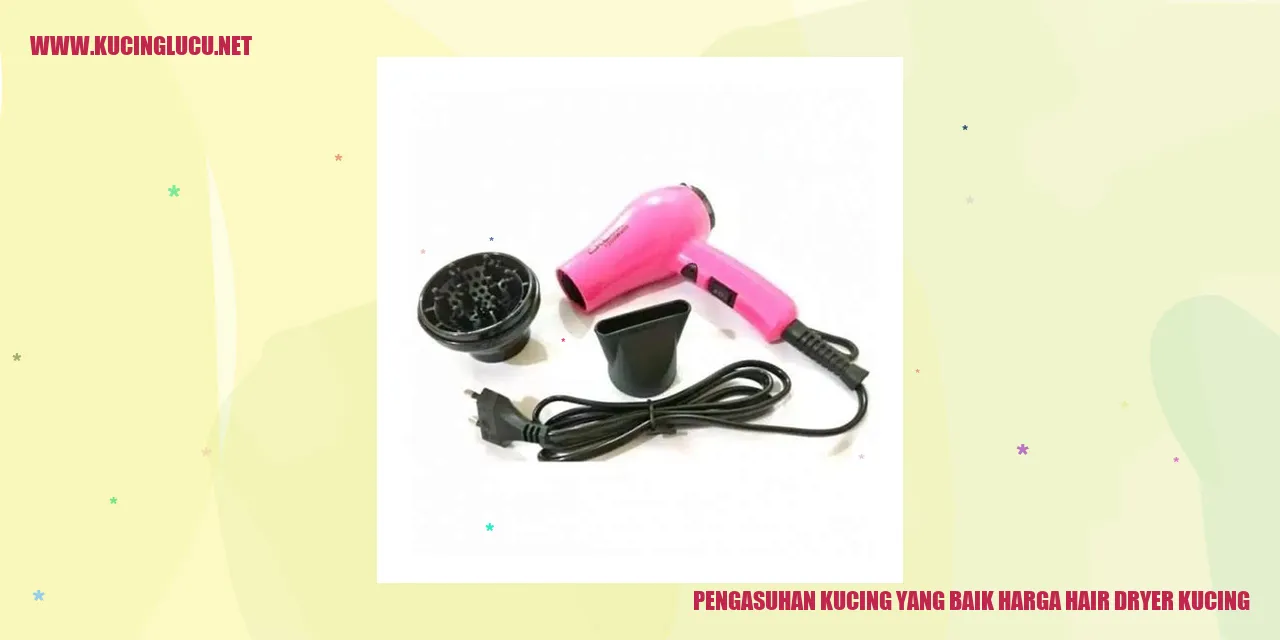 Kucing dengan perangkat pengering rambut