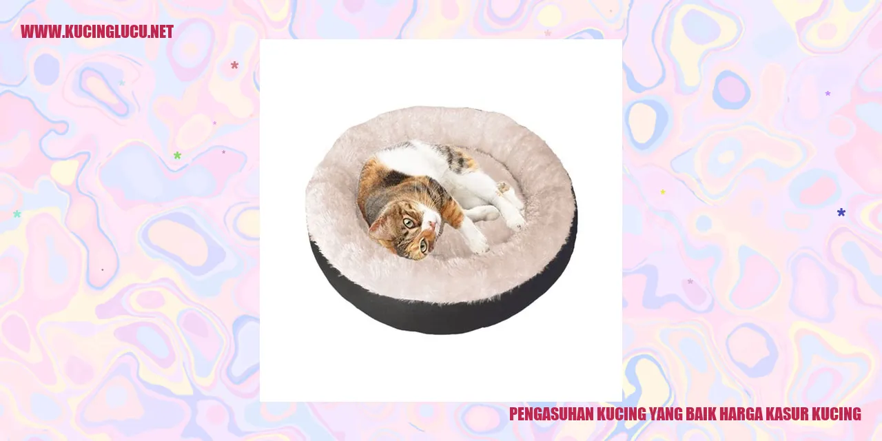 Kucing Enjoy dengan Kasurnya