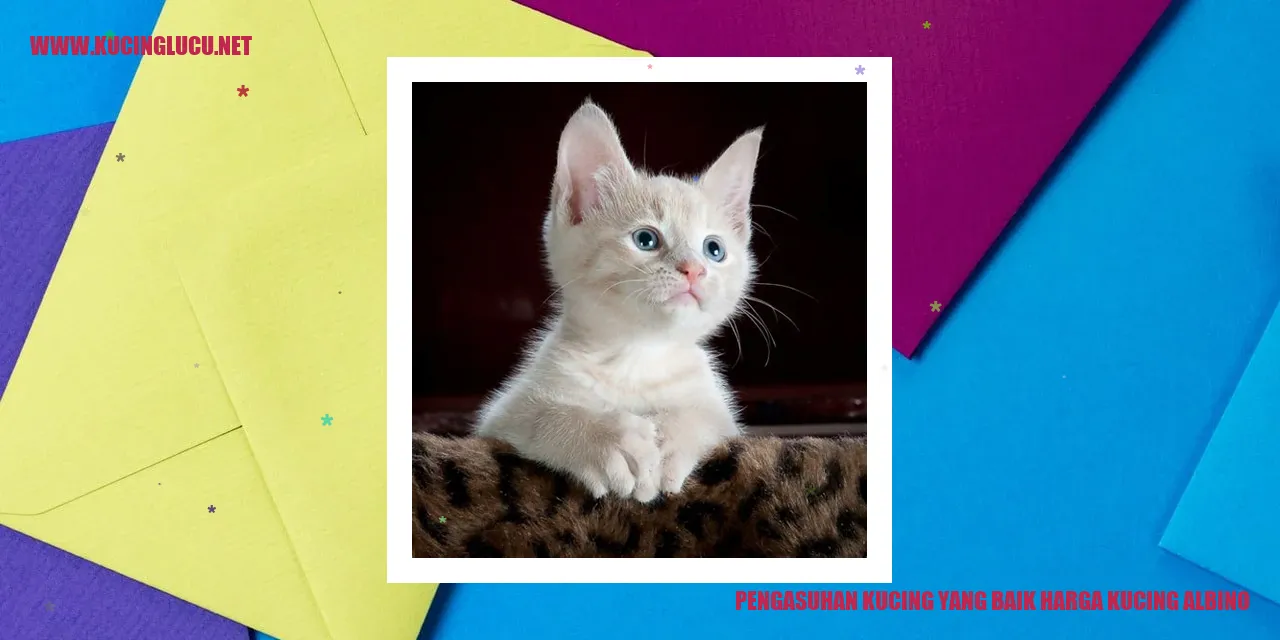 gambar kucing albino