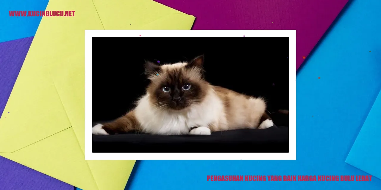 Kucing dengan bulu lebat