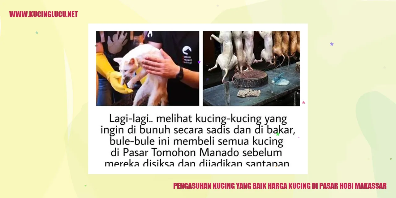 Kucing yang Sehat dan Bahagia