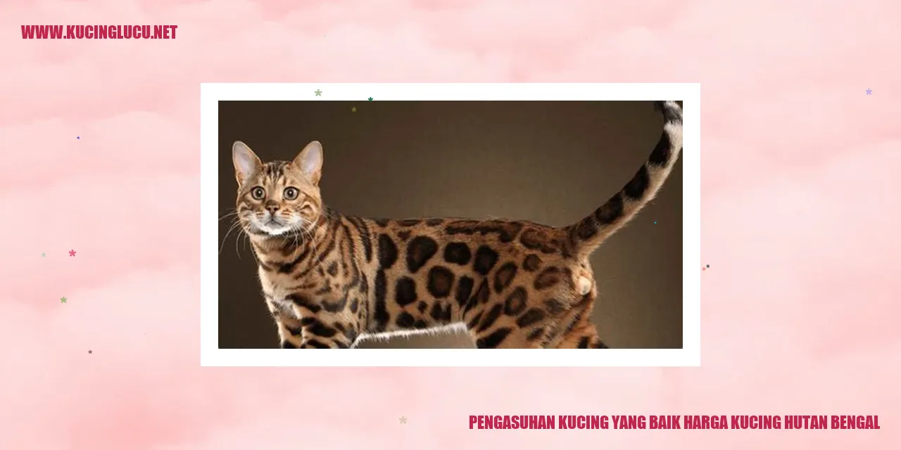 Ilustrasi Kucing Bengal