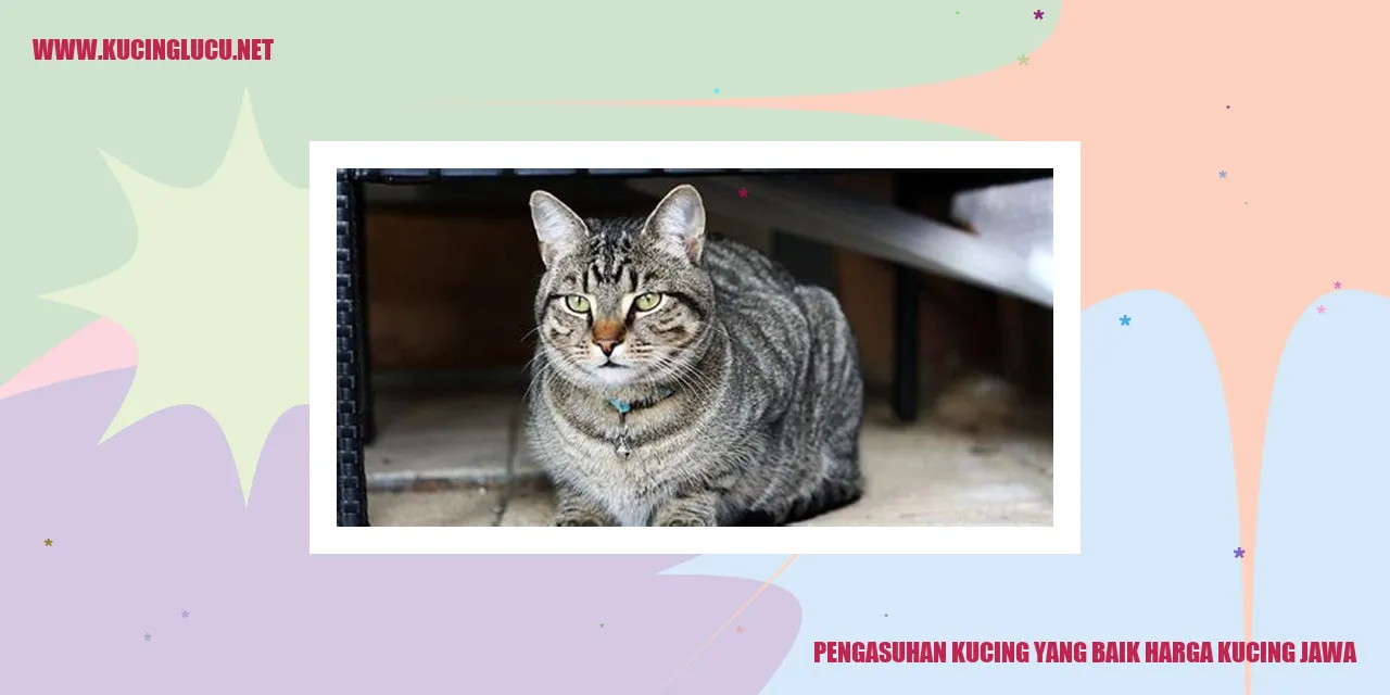 Pengasuhan Kucing yang Baik