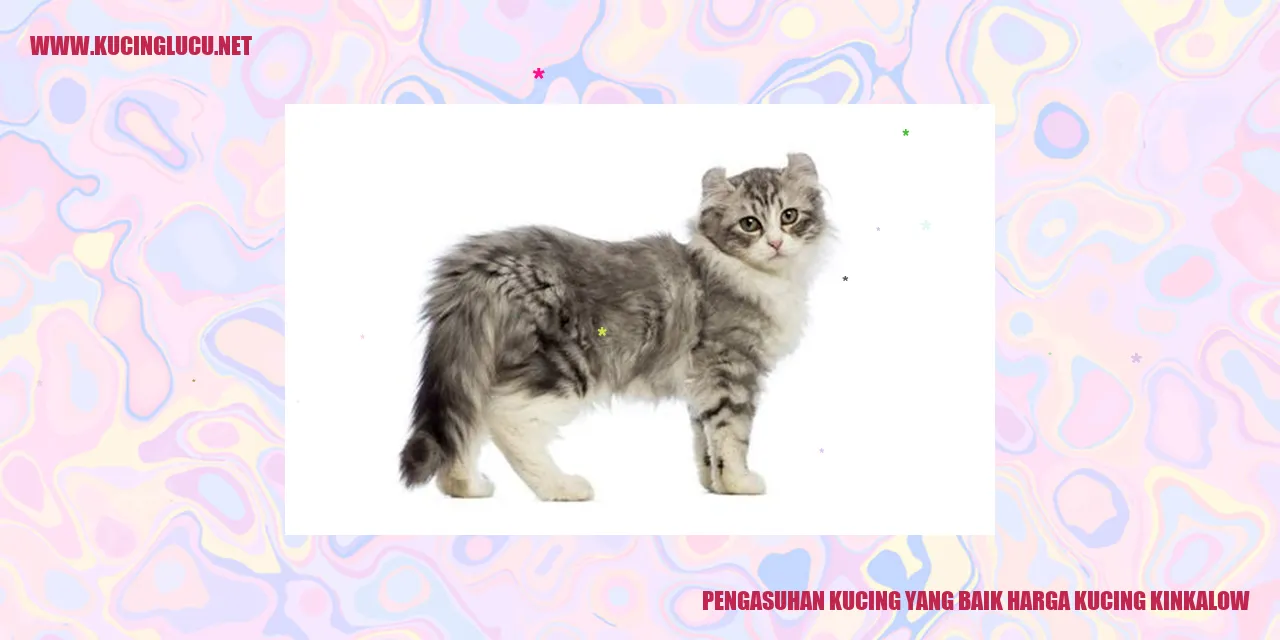 Kucing yang Bahagia