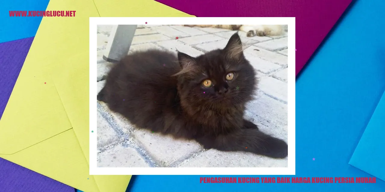 Kucing Persia