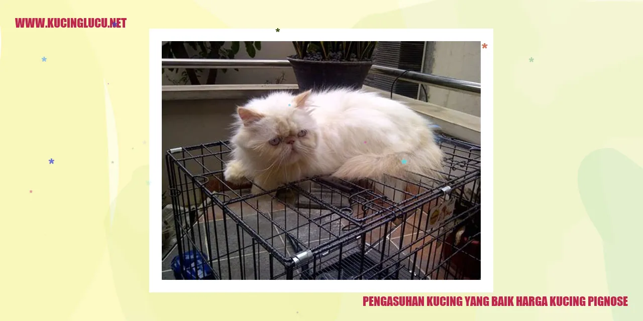 Kucing yang Sehat dan Bahagia