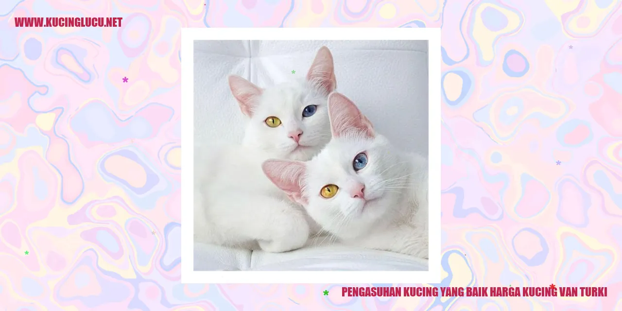 Kucing yang Bahagia