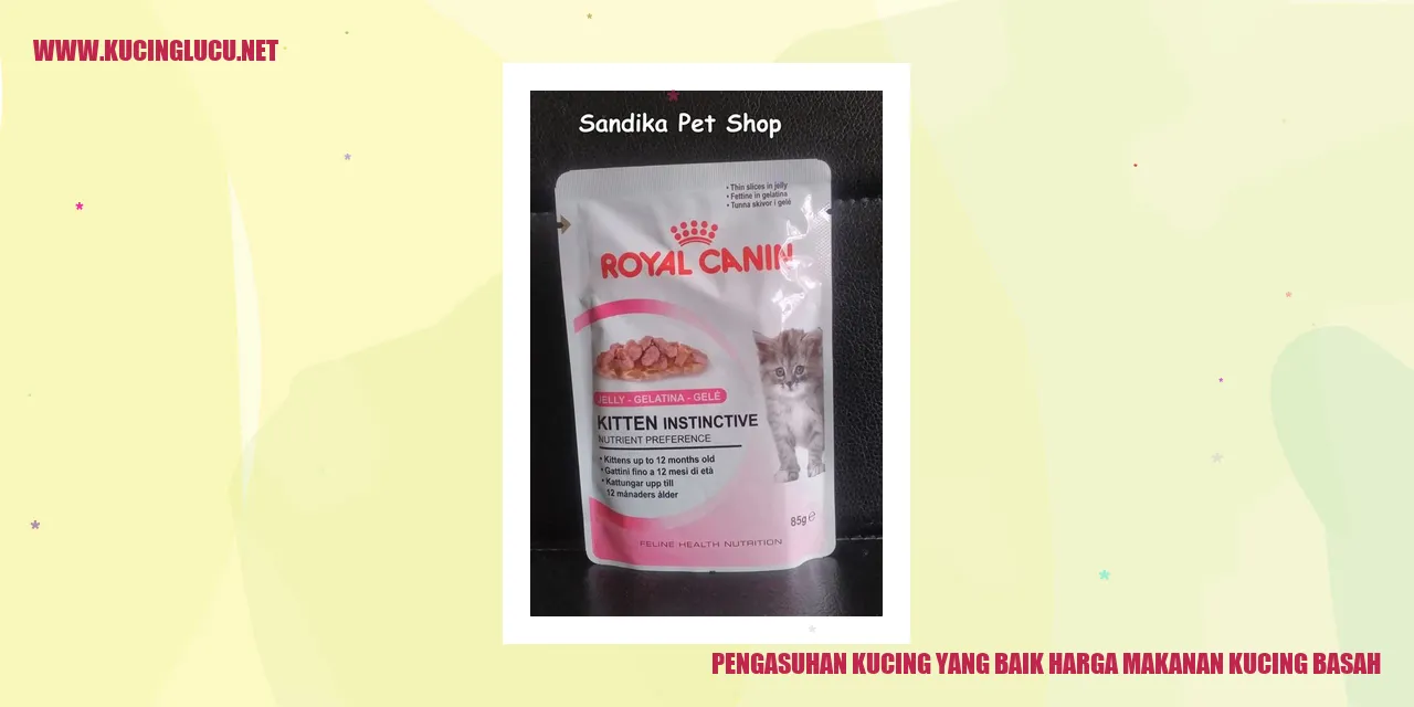 Kucing Makanan Basah