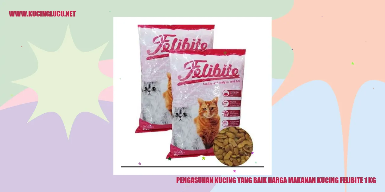 Gambar kucing yang sehat