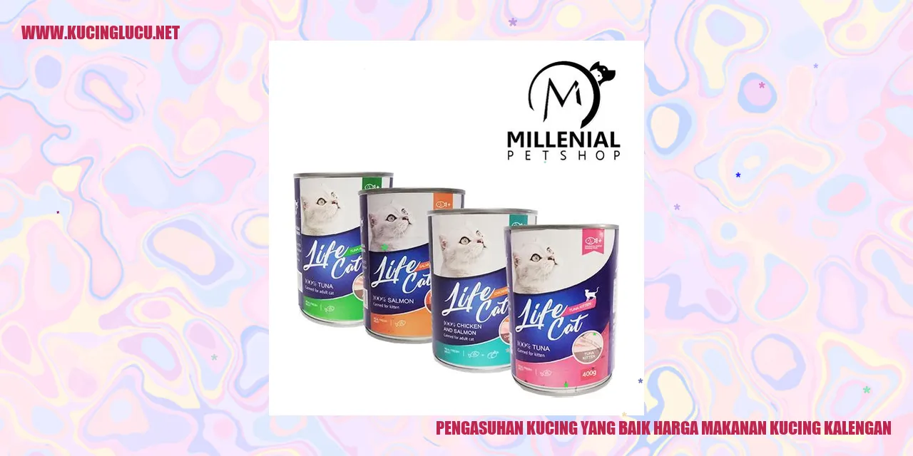 Gambar Kucing