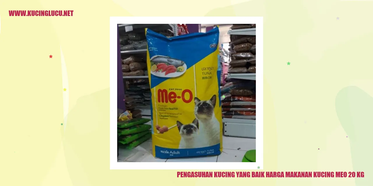 Gambar kucing