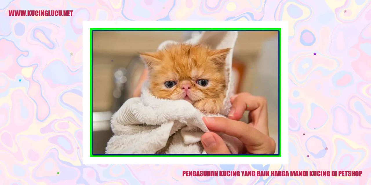 Kucing yang sedang dimandikan di pet shop
