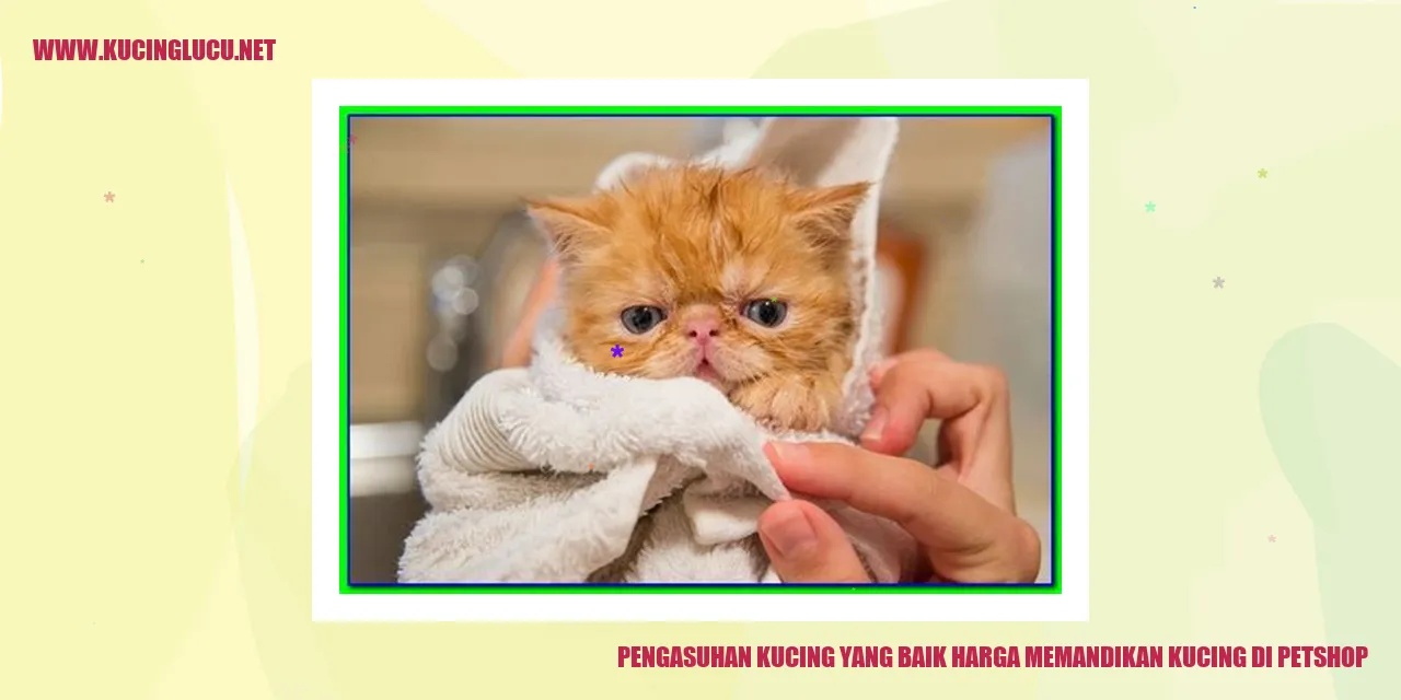 Kucing yang sedang dimandikan di petshop