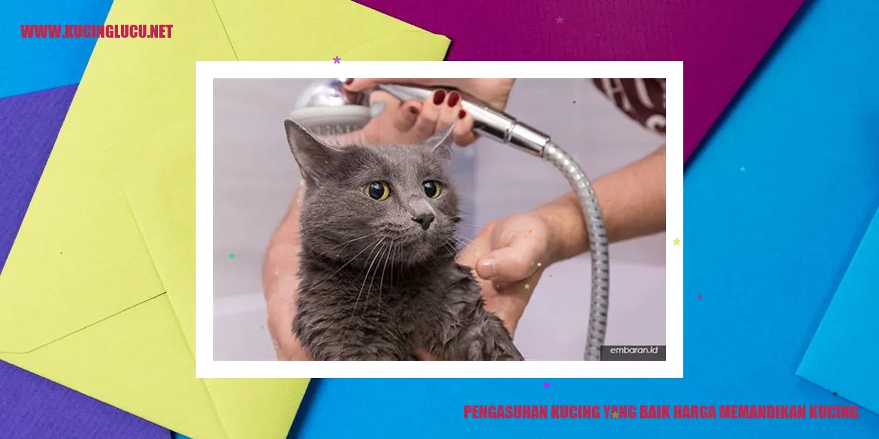 kucing mandi