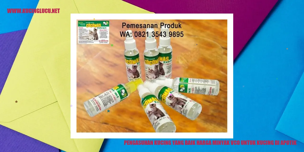 Gaya hidup sehat untuk kucing
