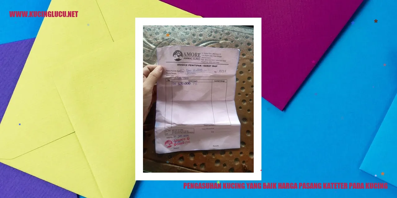 Pentingnya Menerapkan Perawatan yang Baik untuk Kucing