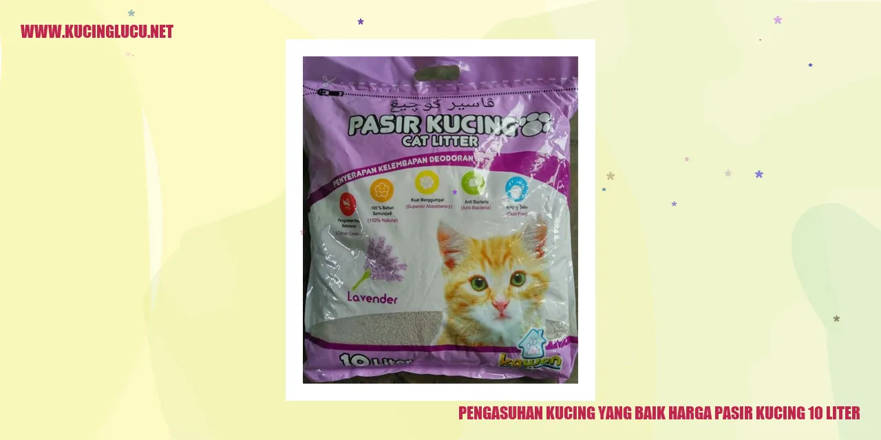 Gambar kucing di atas pasir kucing
