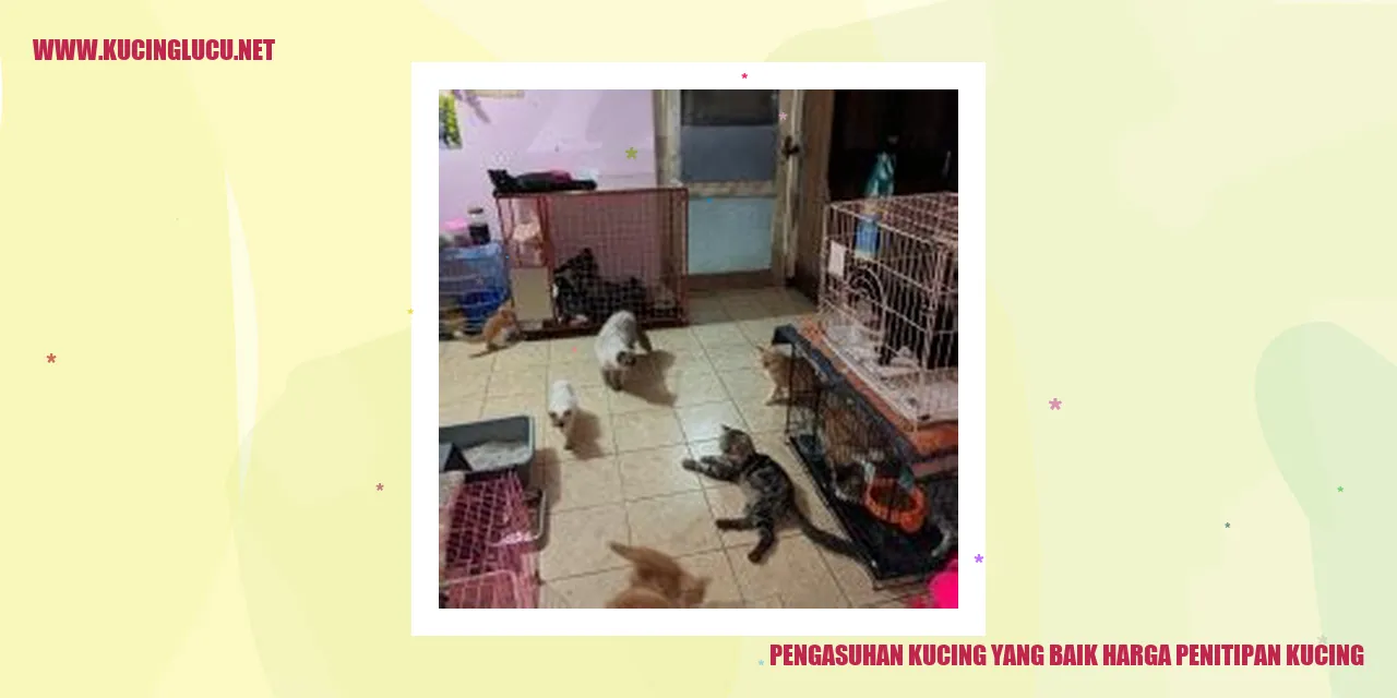 Kucing yang Sehat dan Bahagia