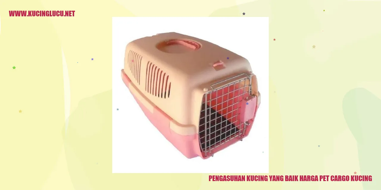 Gambar kucing