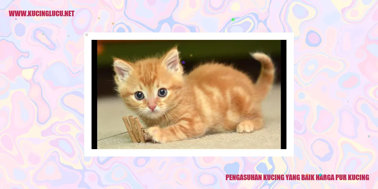 Kelucuan Kucing